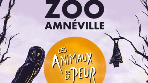 Zoo d’Amnéville : Halloween